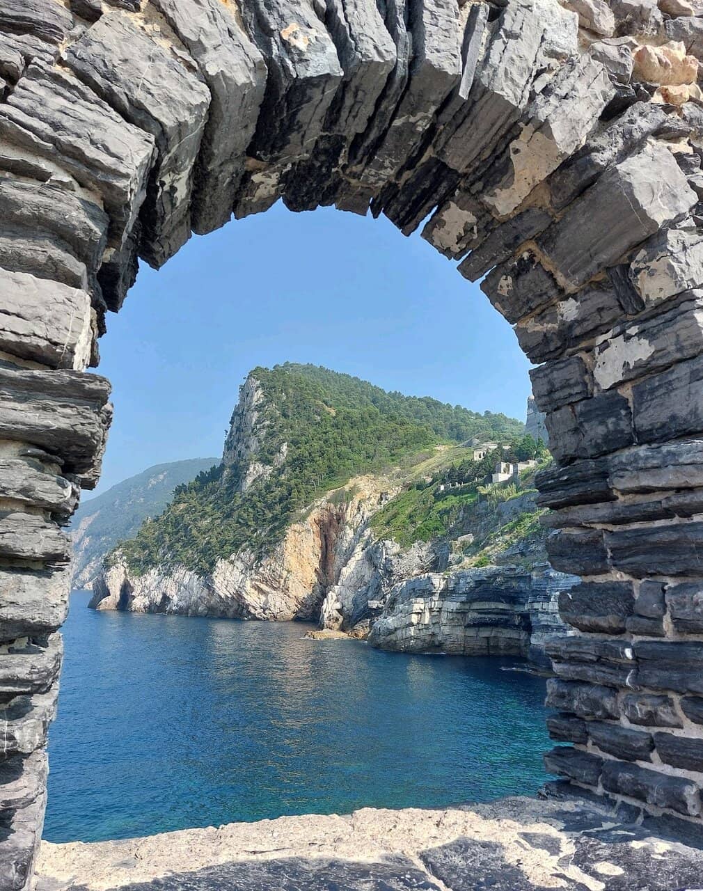 Vertical photo
