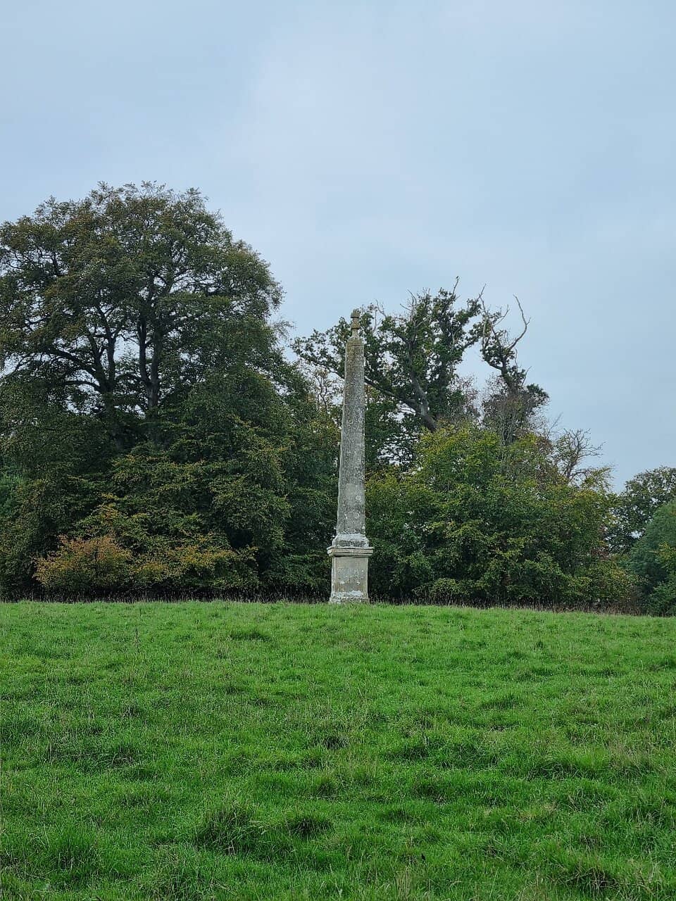 Expansive Parkland