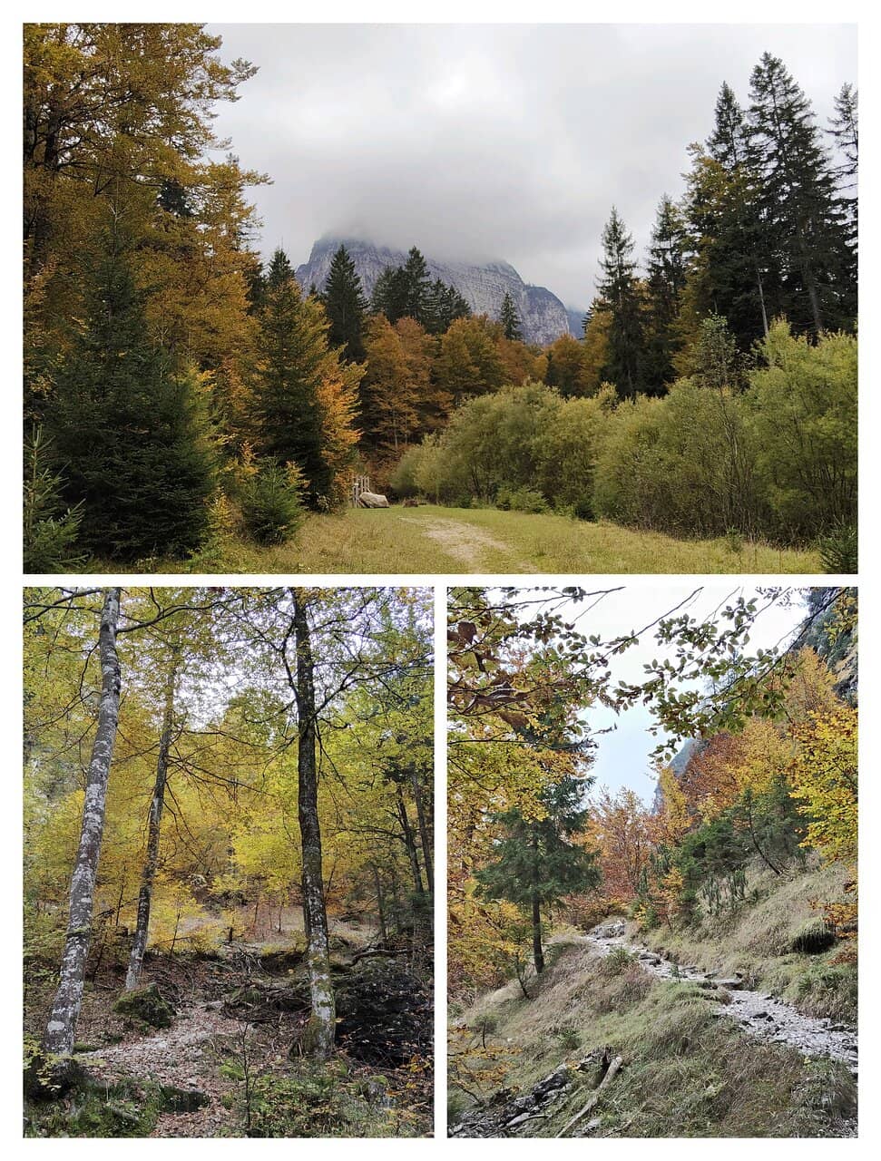 Hearty Mountain Cuisine