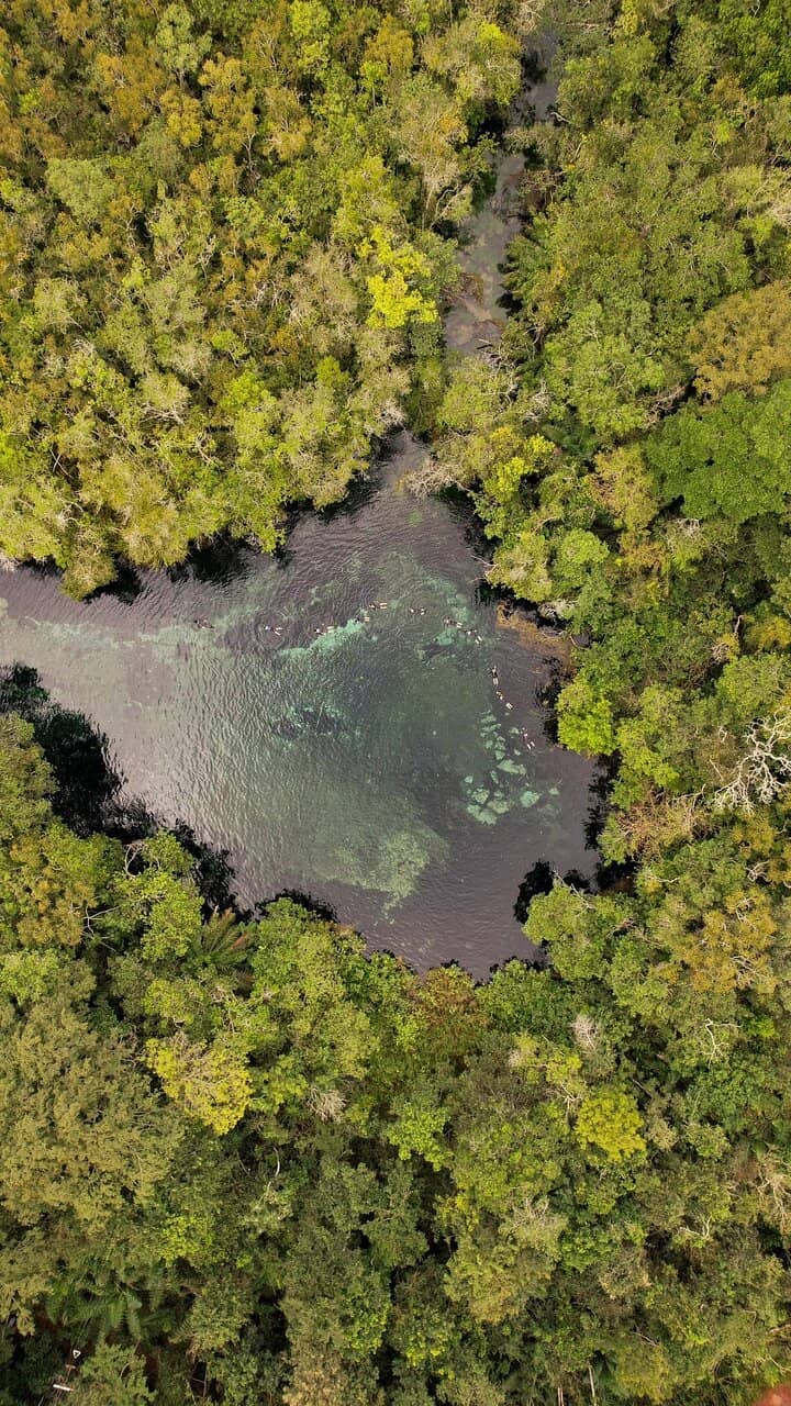 Secluded Naturist Beach