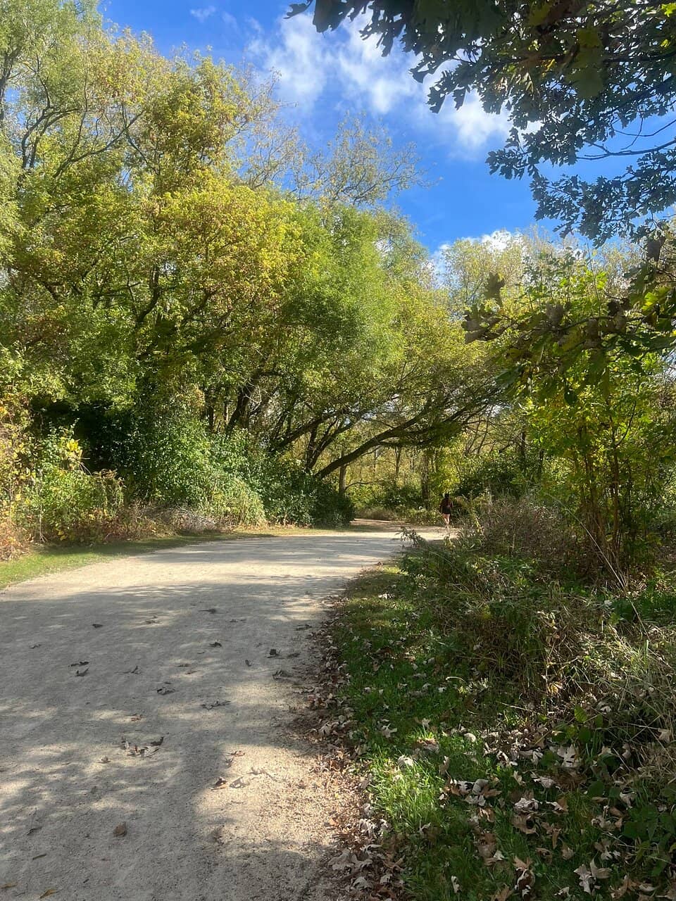 Multi-use Trails
