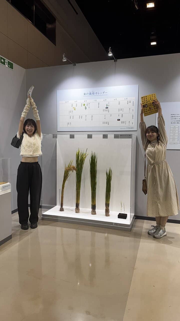 Nukumori no Mori