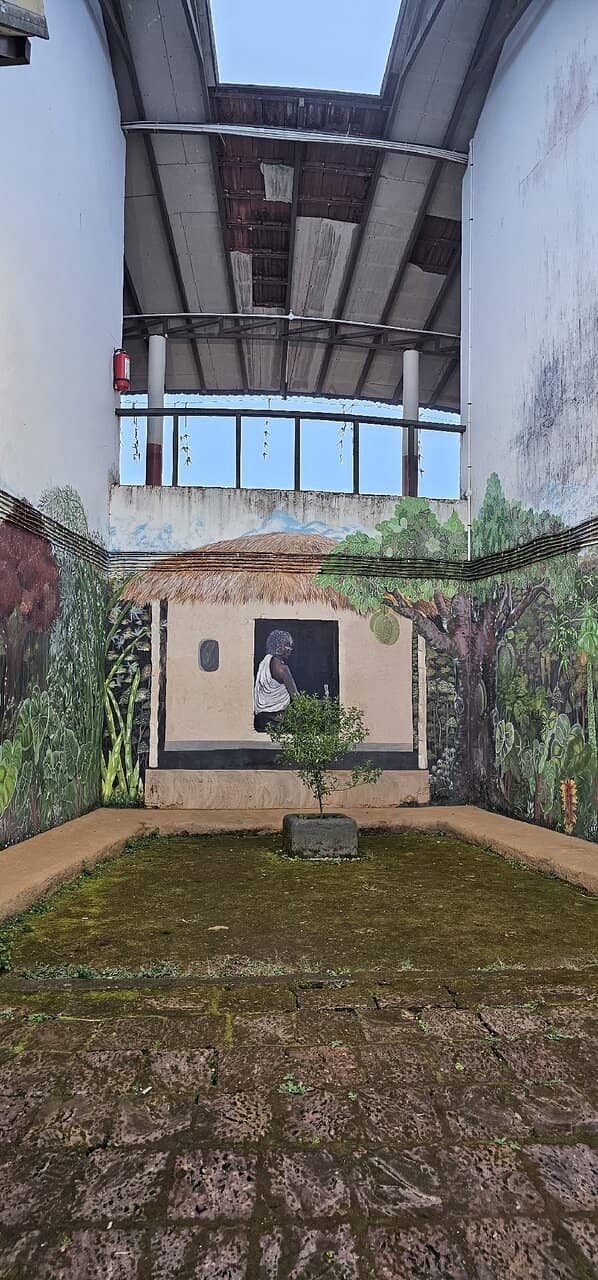 Tribal Handicrafts & Shopping