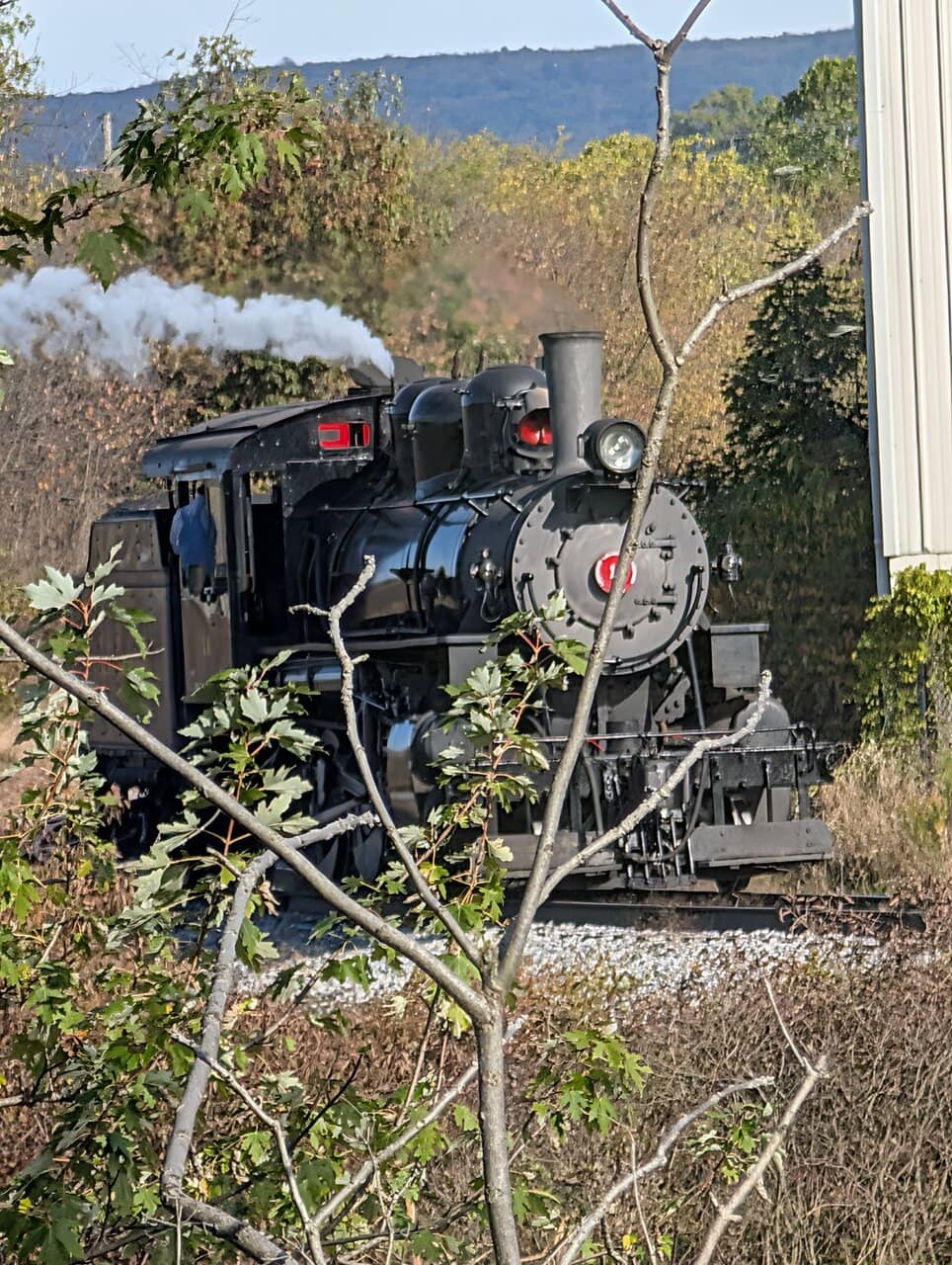 Authentic Rail Cars