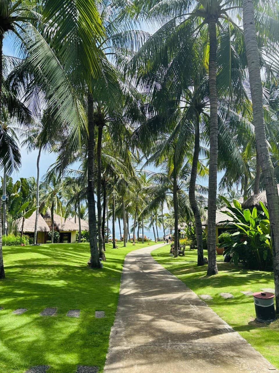 Cozy Atmosphere with Reggae Vibes