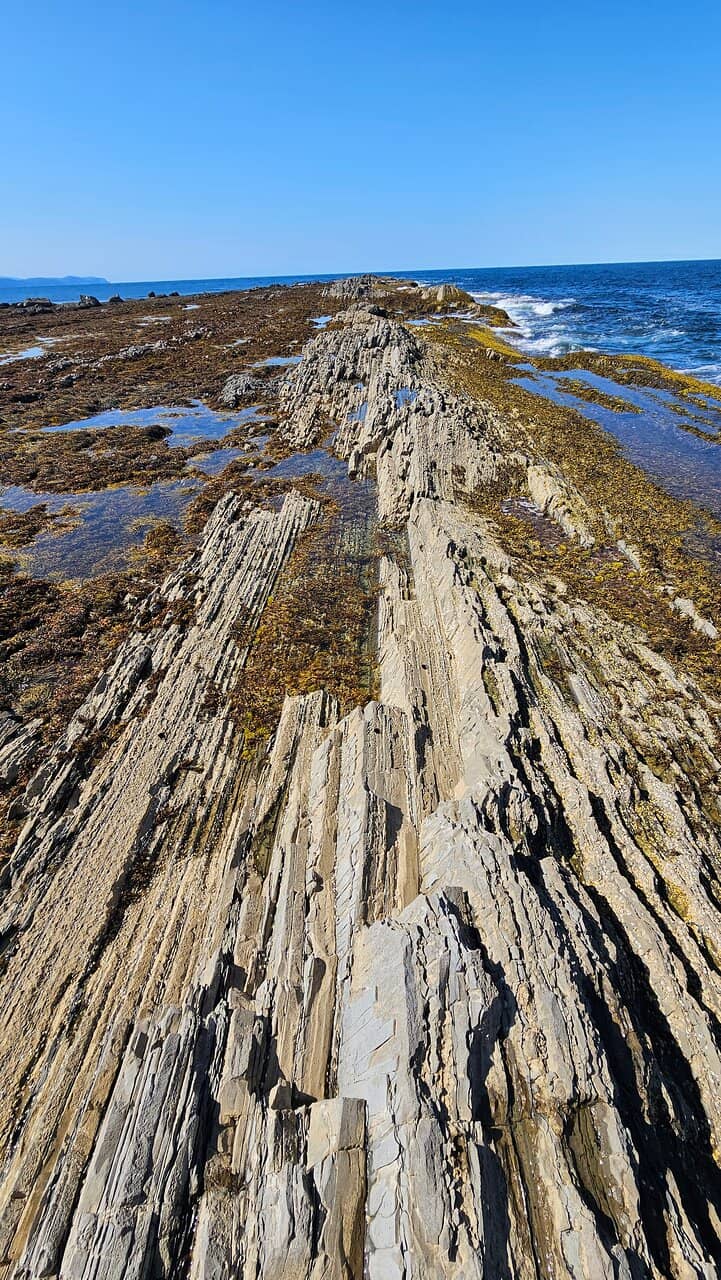 Vertical photo
