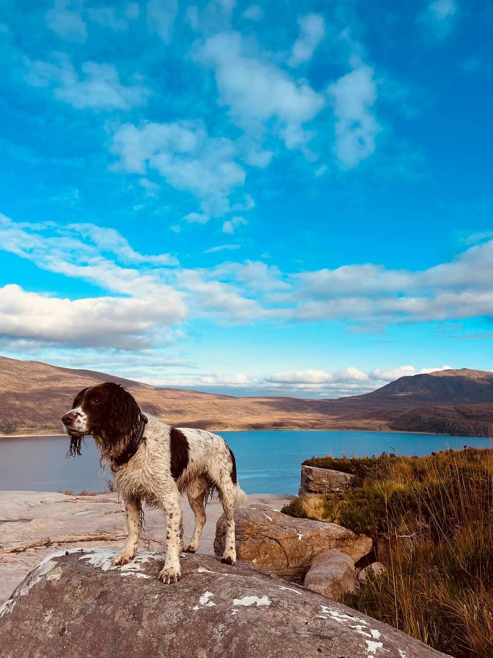 Gorge Views