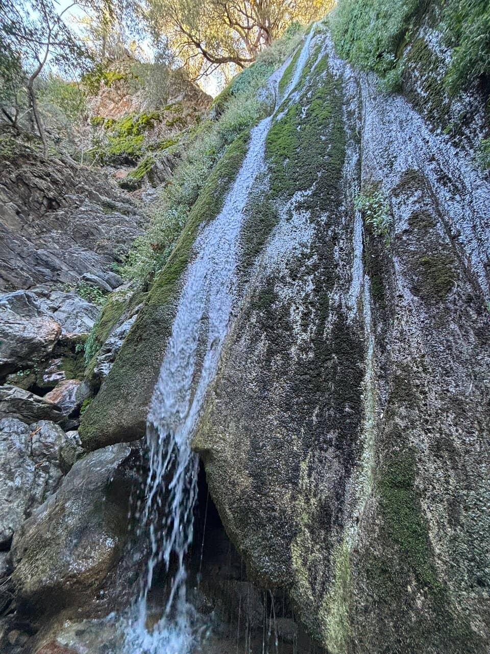 Vertical photo