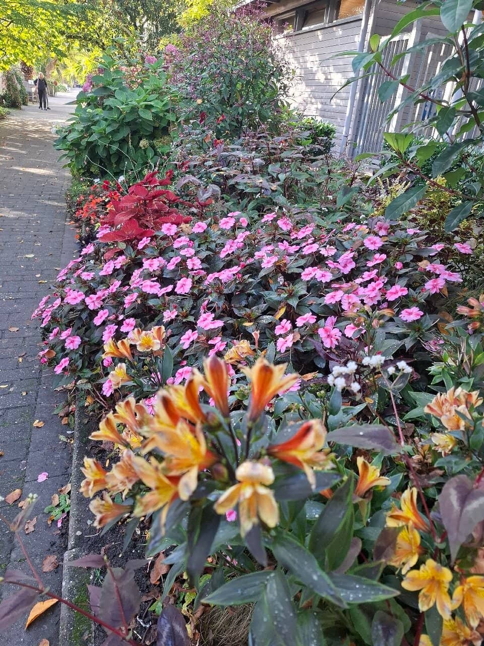 Cottage Garden