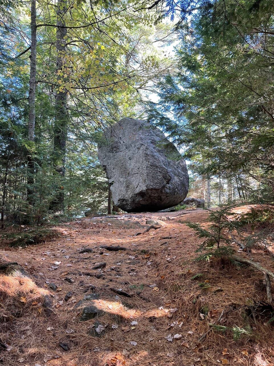 Vertical photo