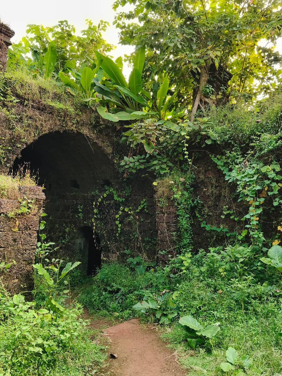 Overgrown Fort Ruins