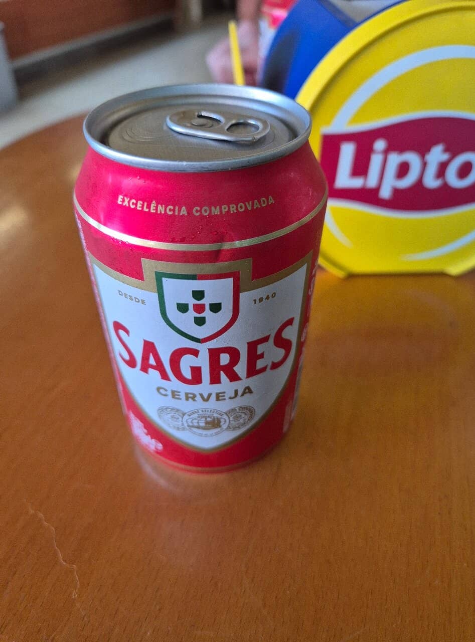 Sea Turtle Sightings