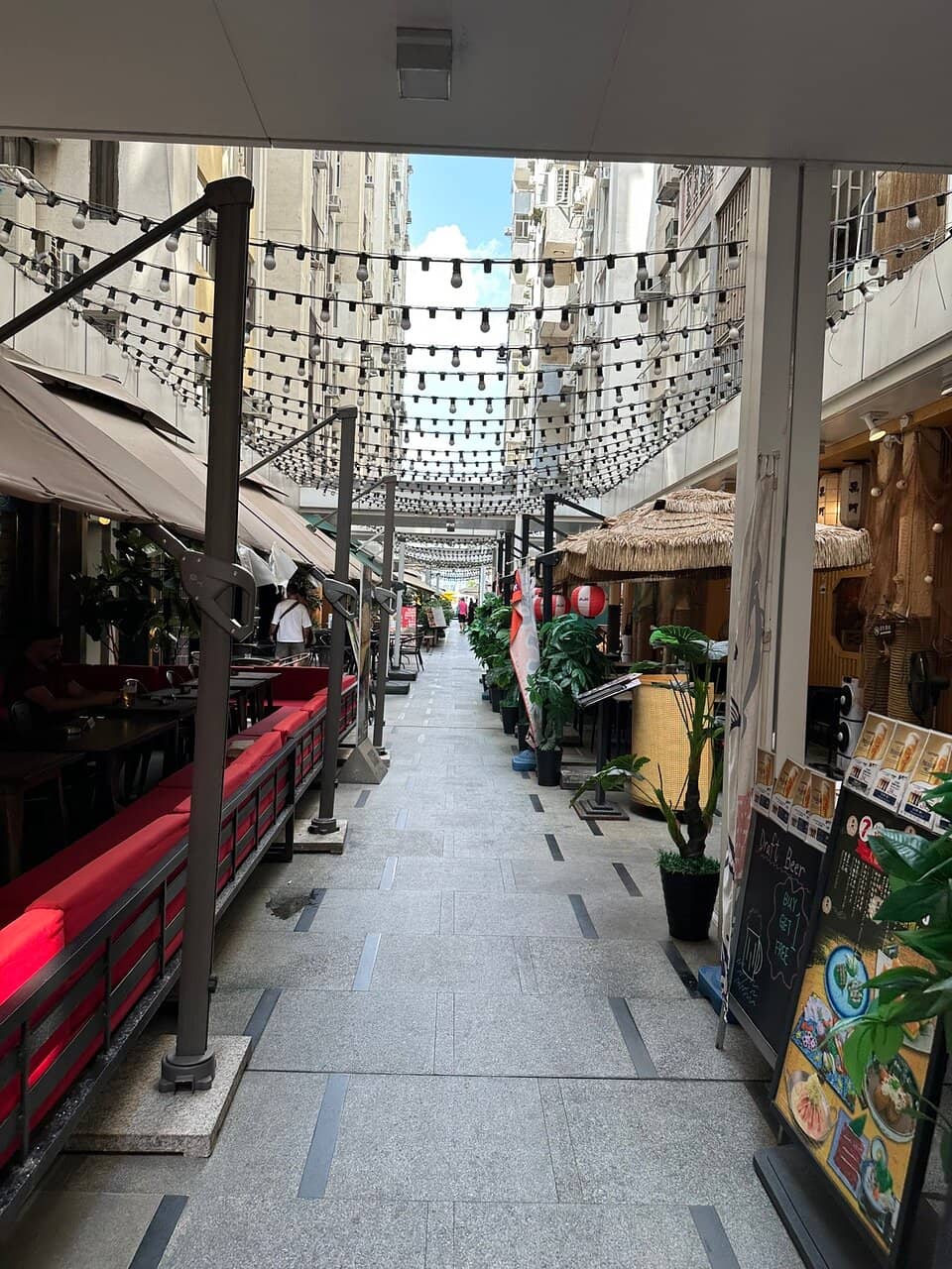 Street Food Delights