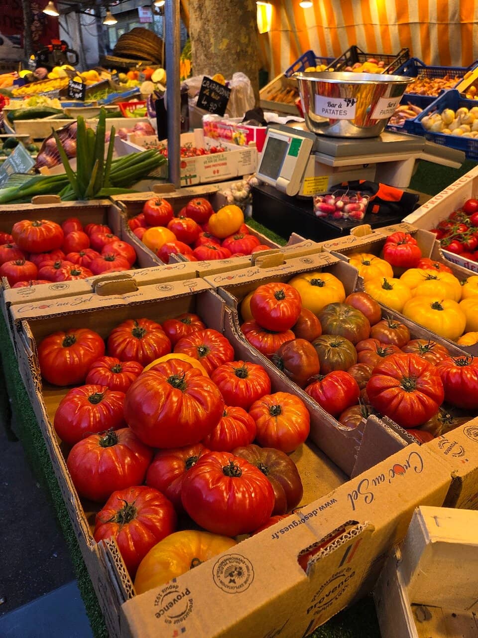 International Food Stalls