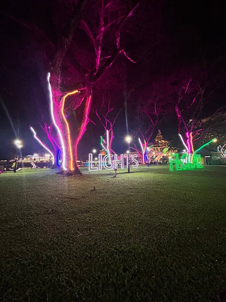Kuching Heritage Lights & Floral Festival
