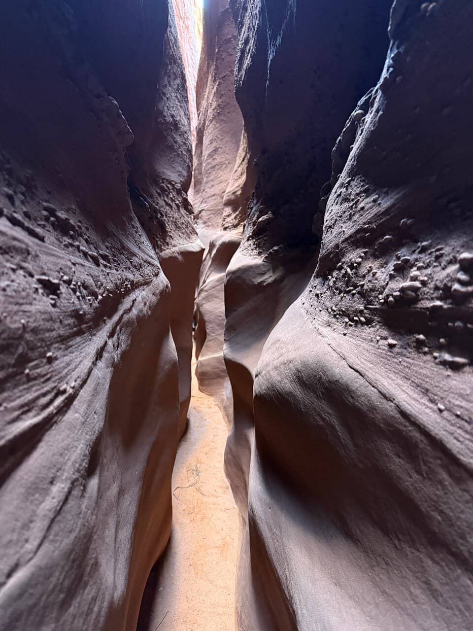 Peek-a-boo's Playful Obstacles