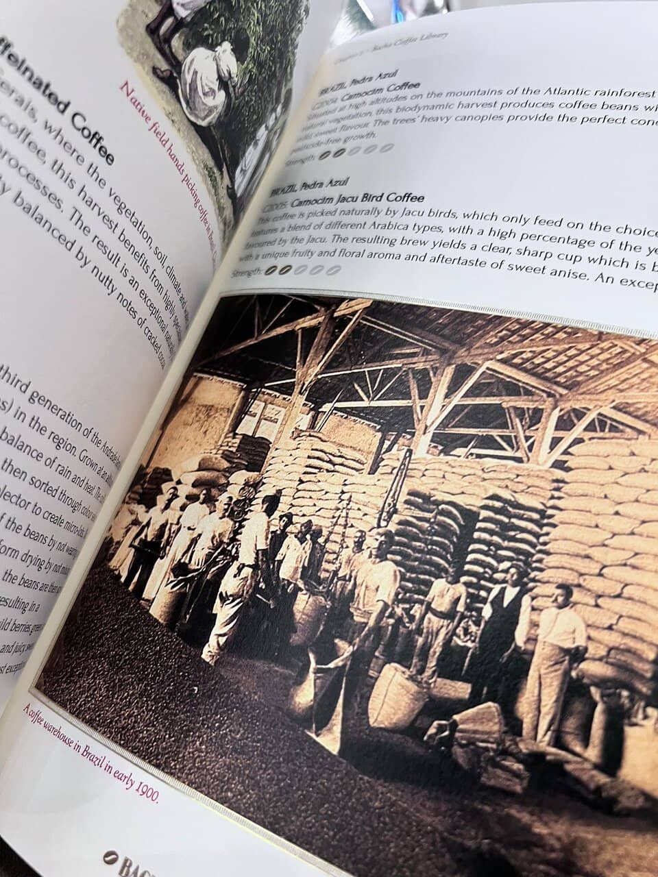 Exquisite Pastries and Brunch