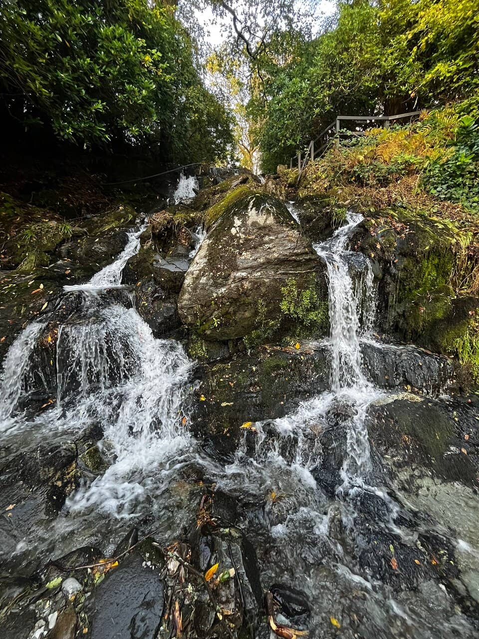 Vertical photo