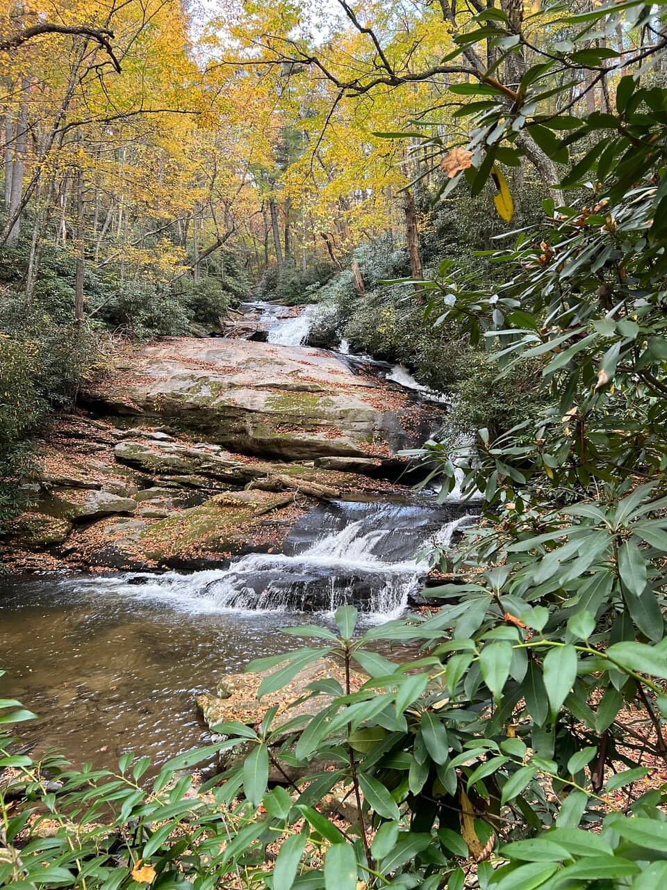 Winter Wonderland Activities