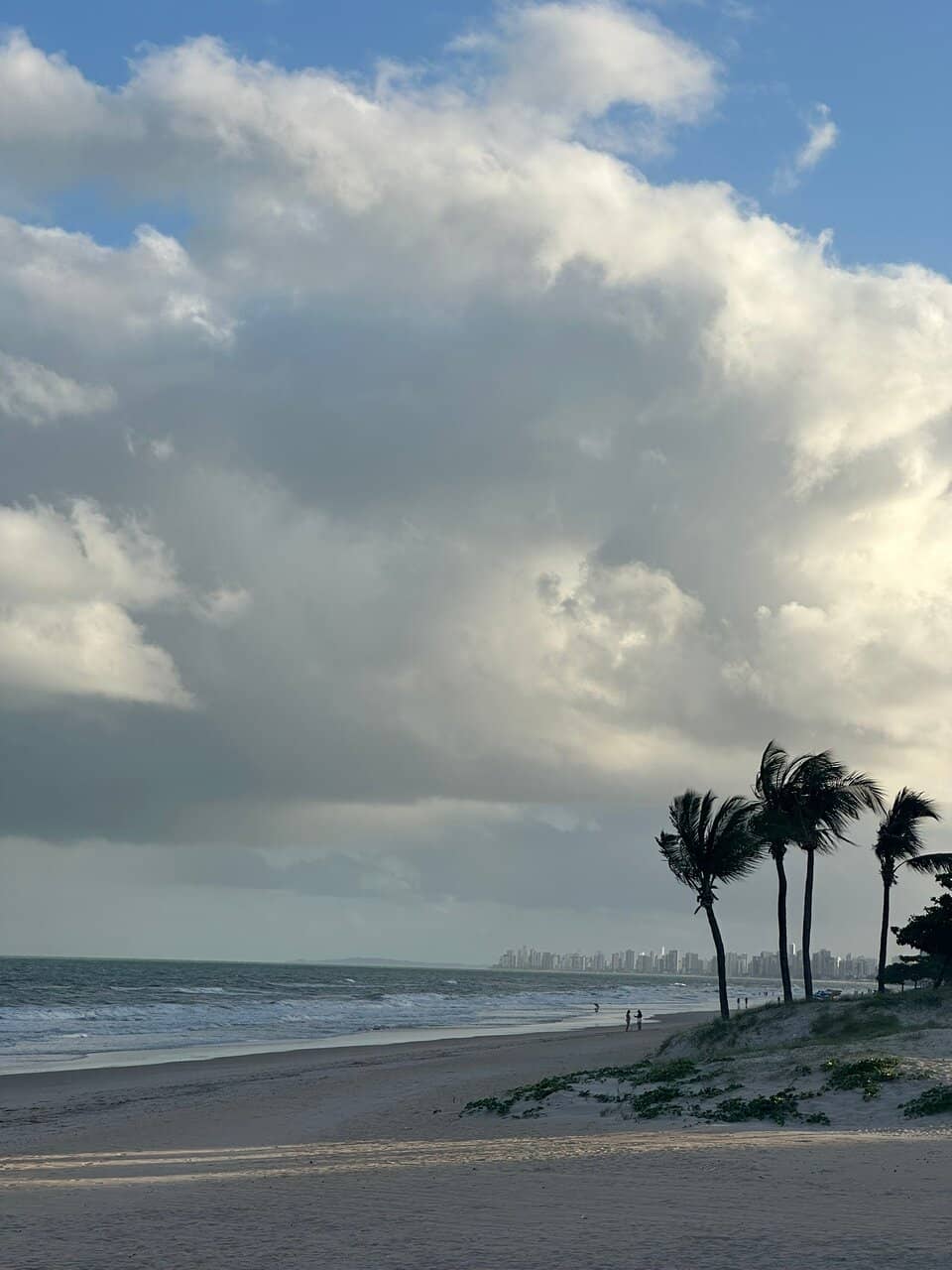 Natural Pools at Low Tide