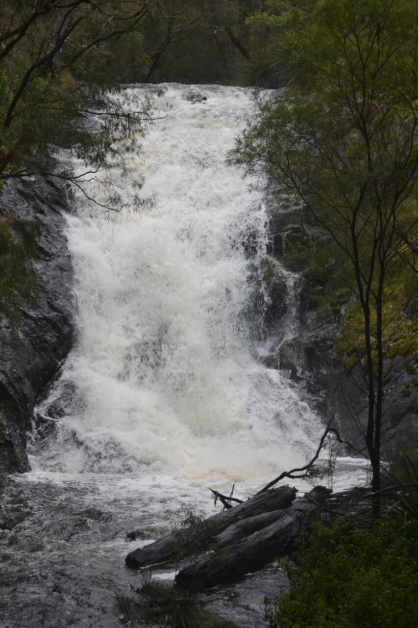 Suspension Bridge Views