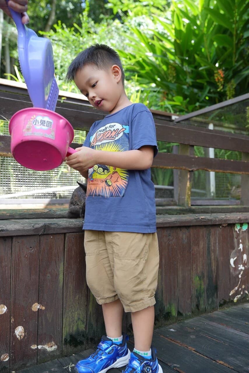 Grilled Fried Chicken