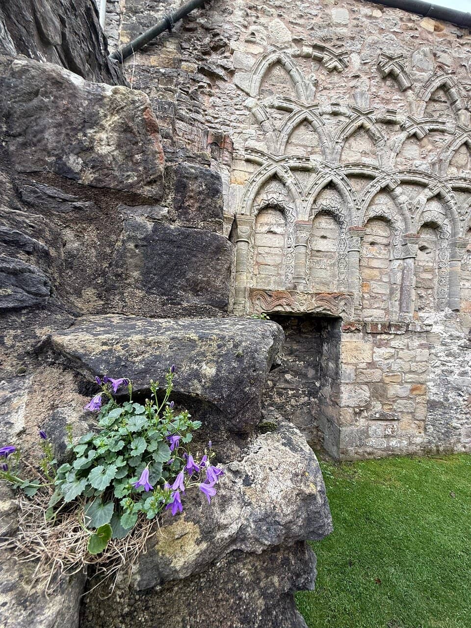 Topiary Gardens