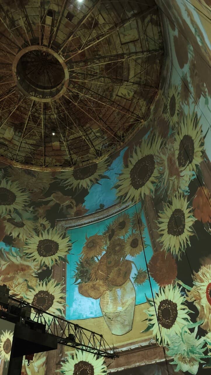 Artist-Specific Exhibitions