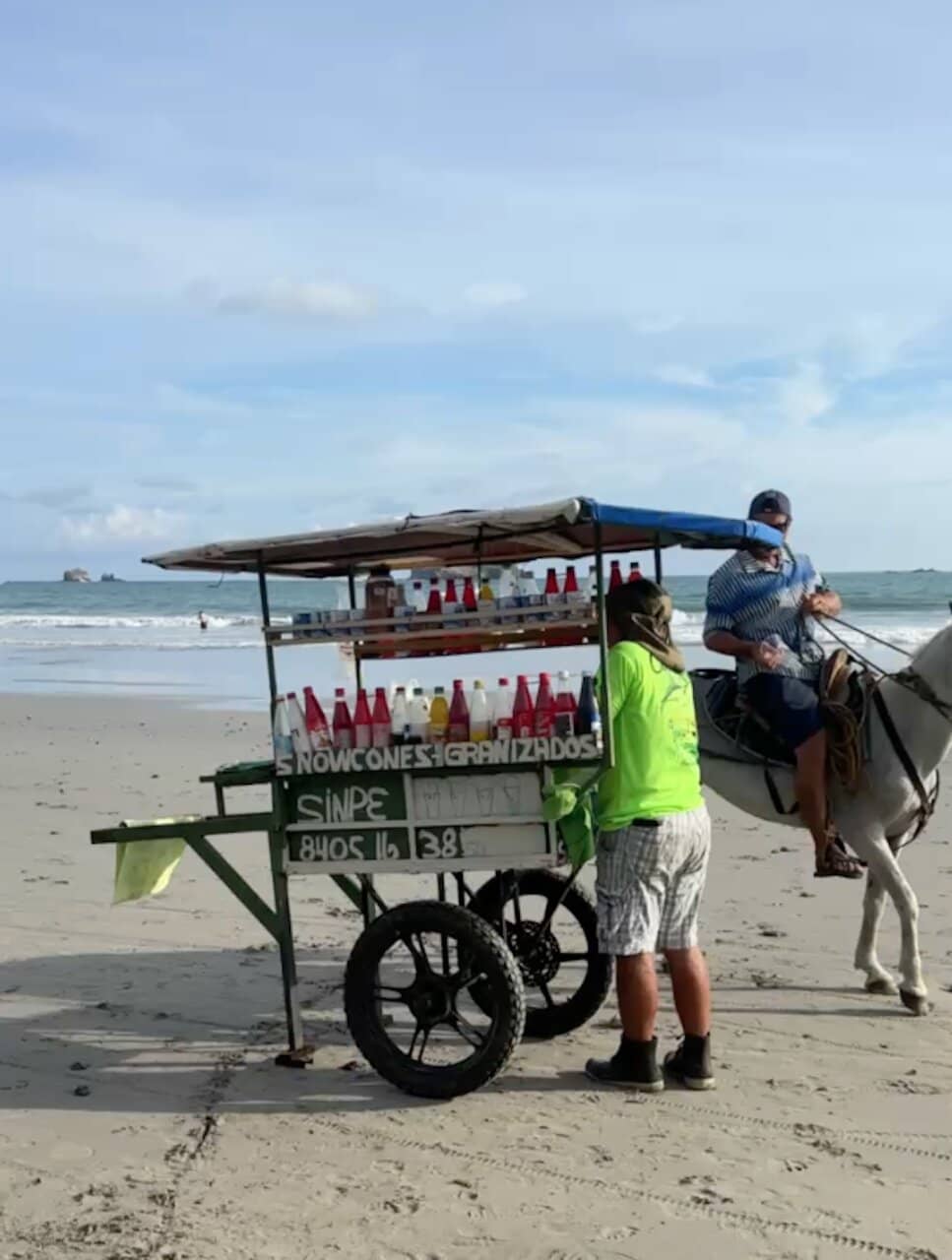Tide Pool Exploration