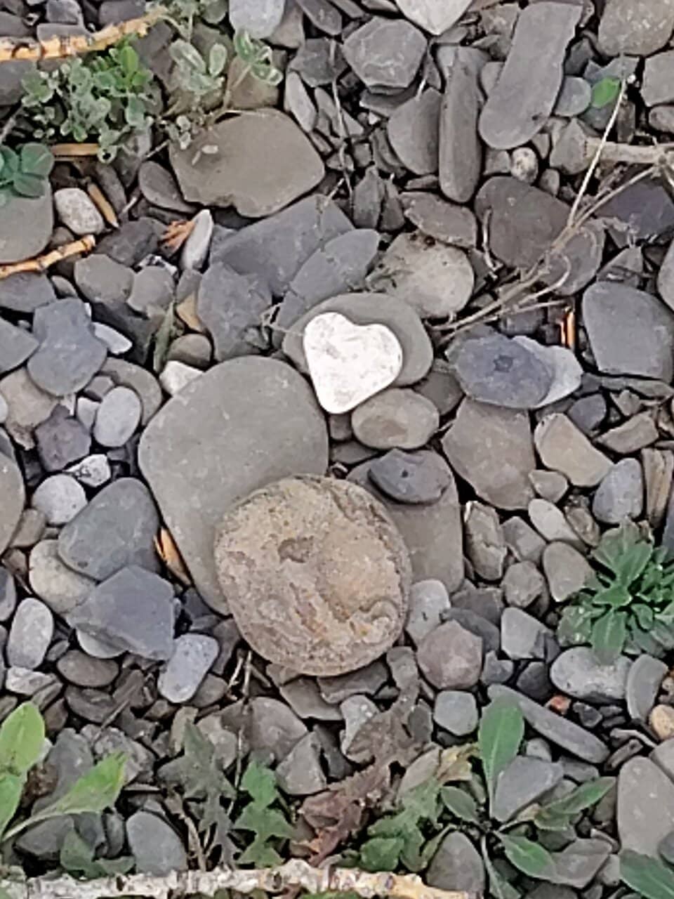 Skipping Stone Beach