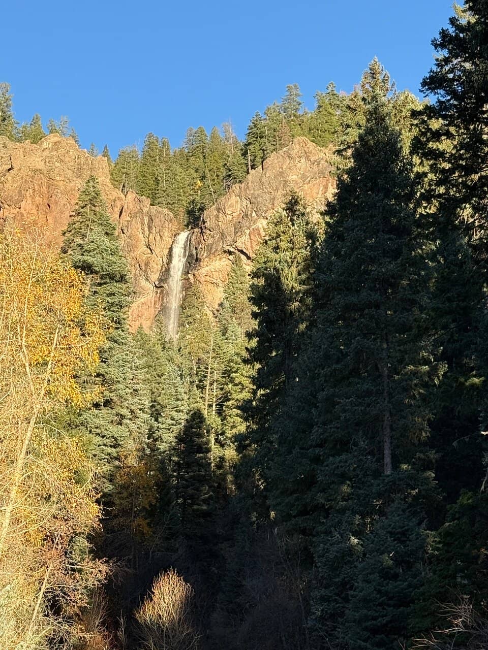 Vertical photo