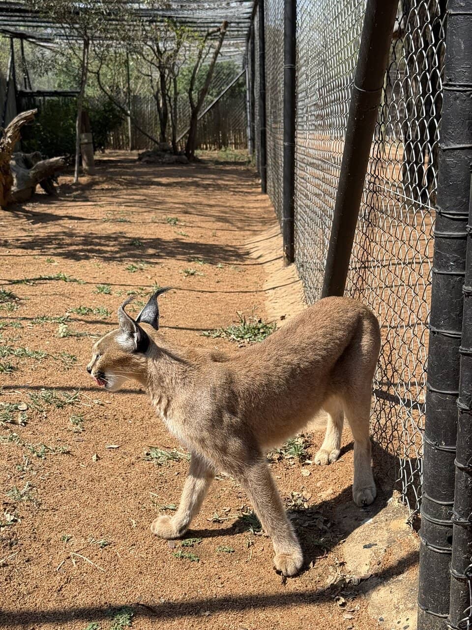 Conservation Center Tour