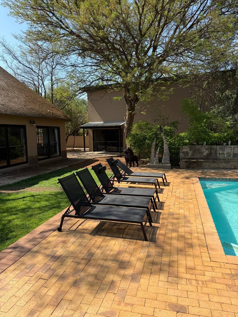 Cub and Cheetah Interaction