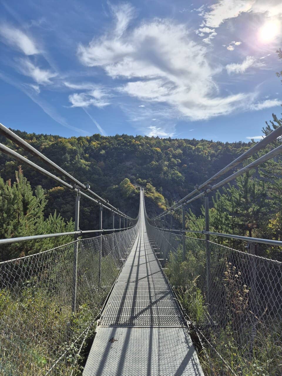 Vertical photo