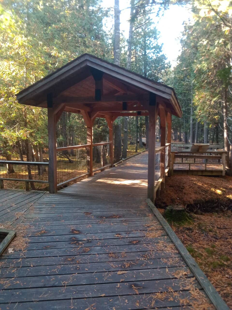 Birdwatching Opportunities