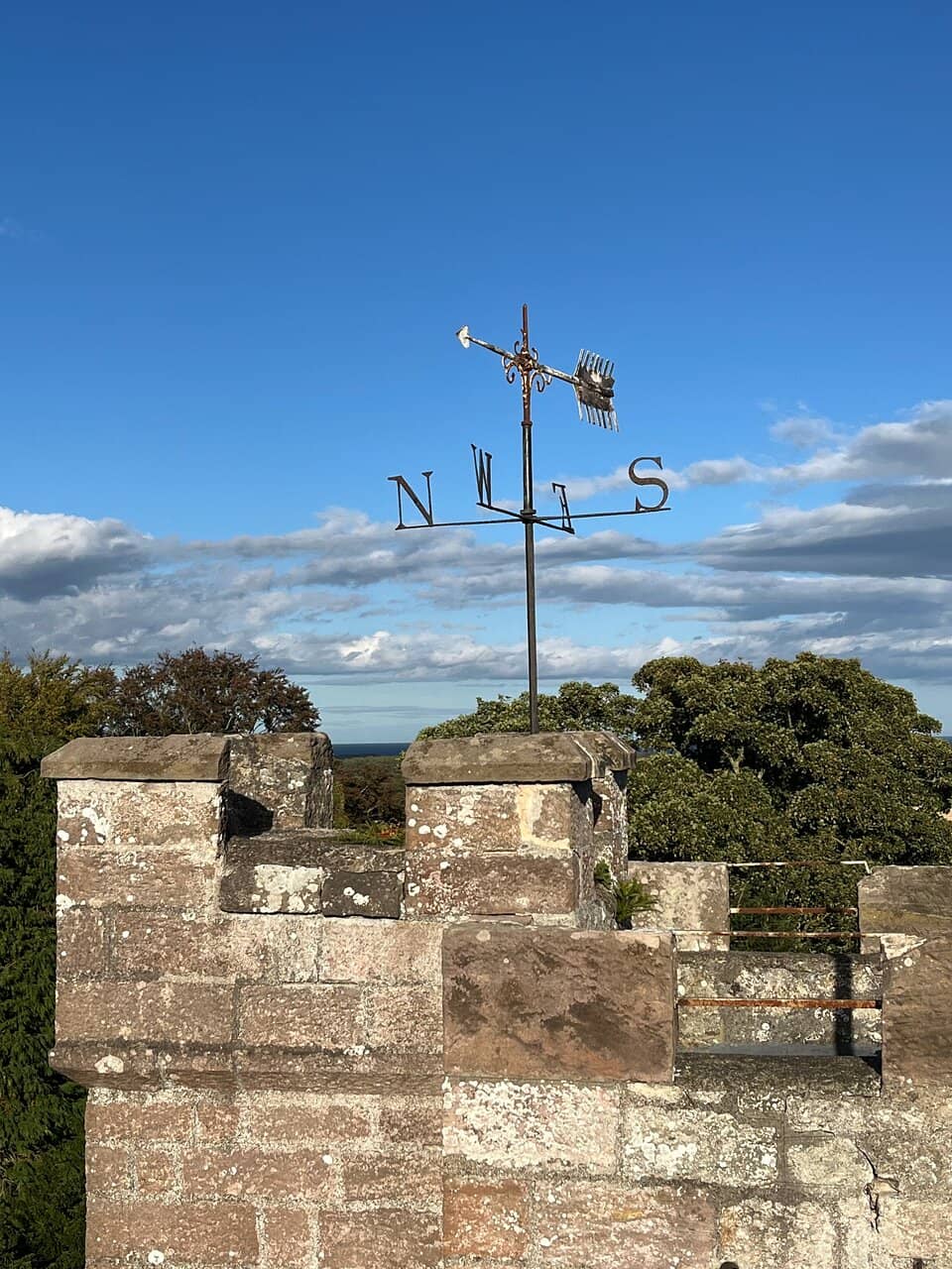 Grounds and Gardens