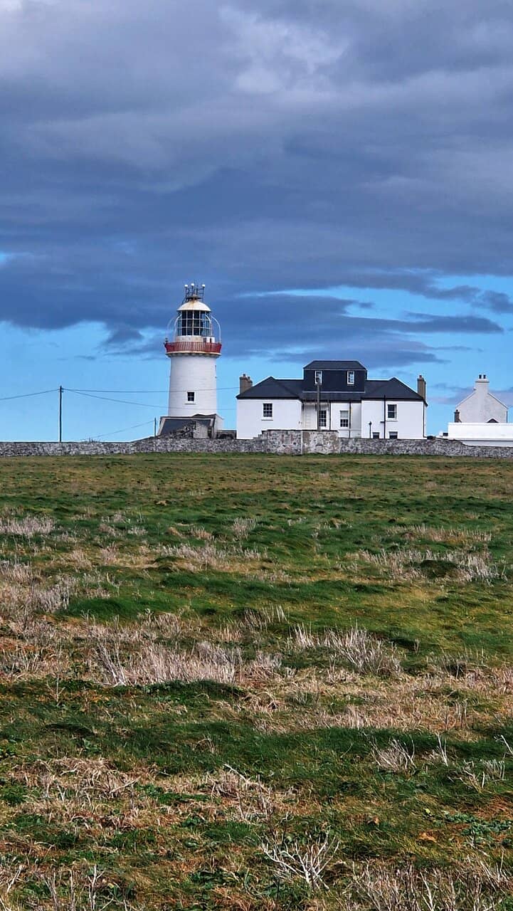 Seabird Colony