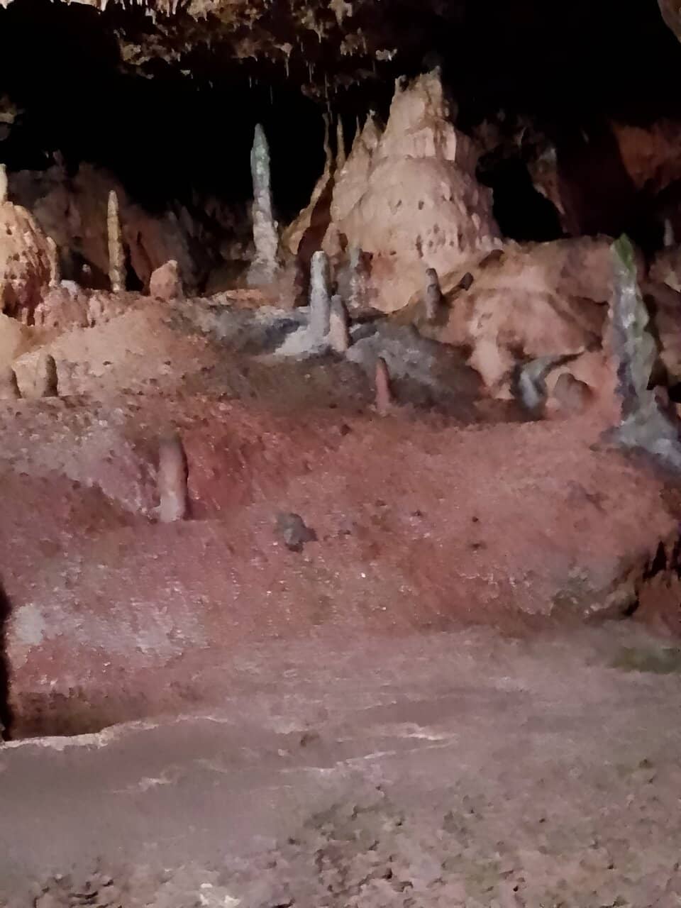 Interactive Guided Tours