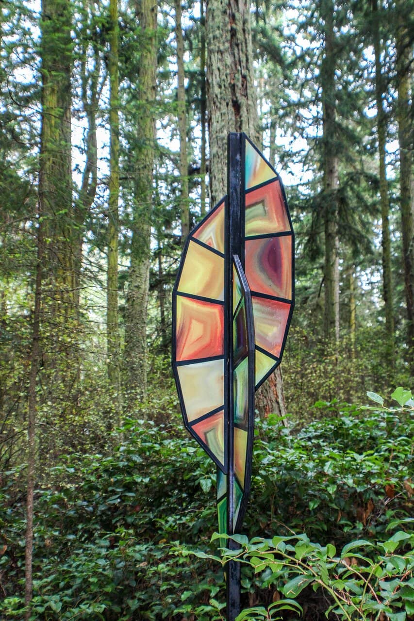 Enchanting Forest Trails