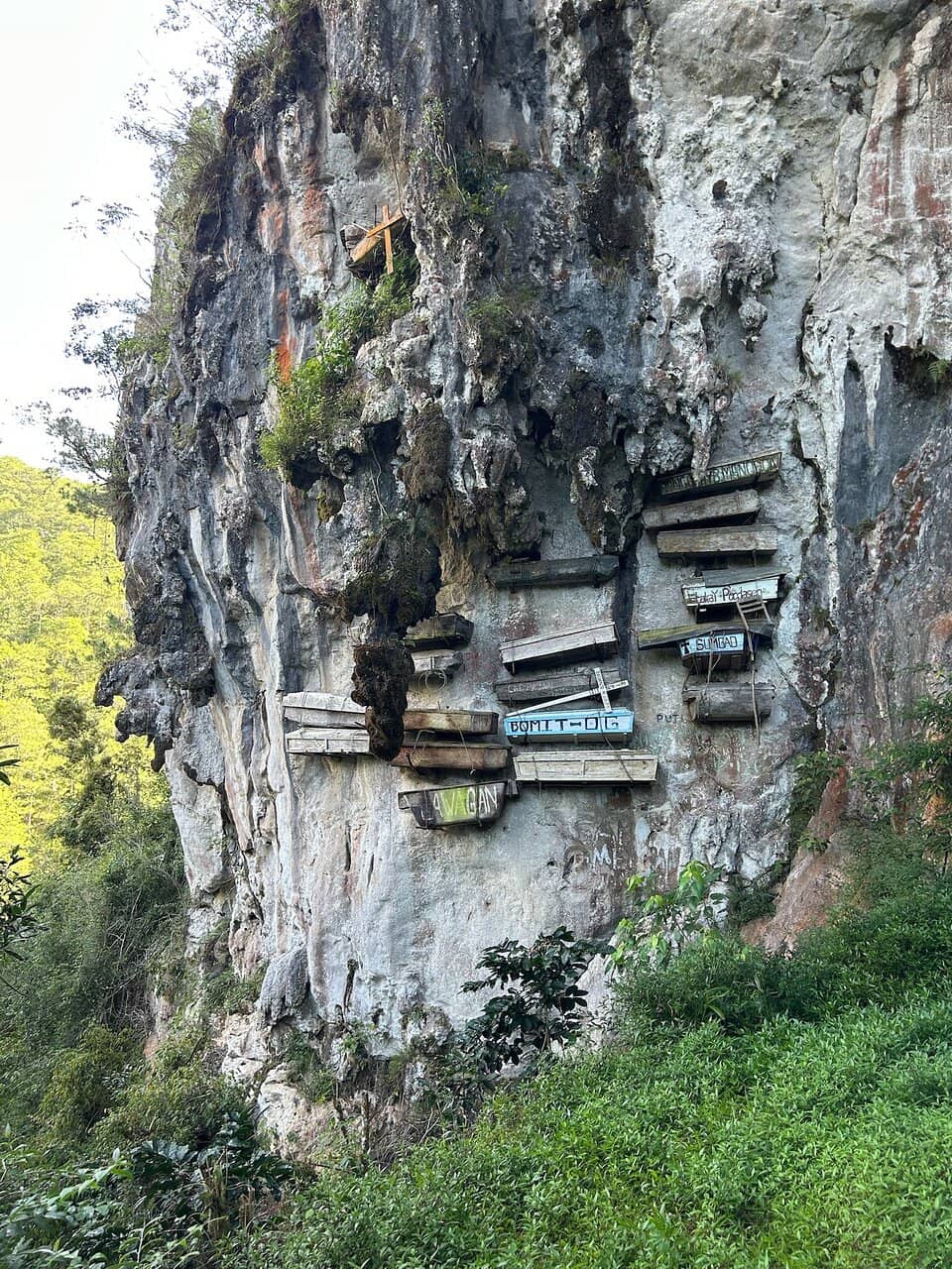 Vertical photo