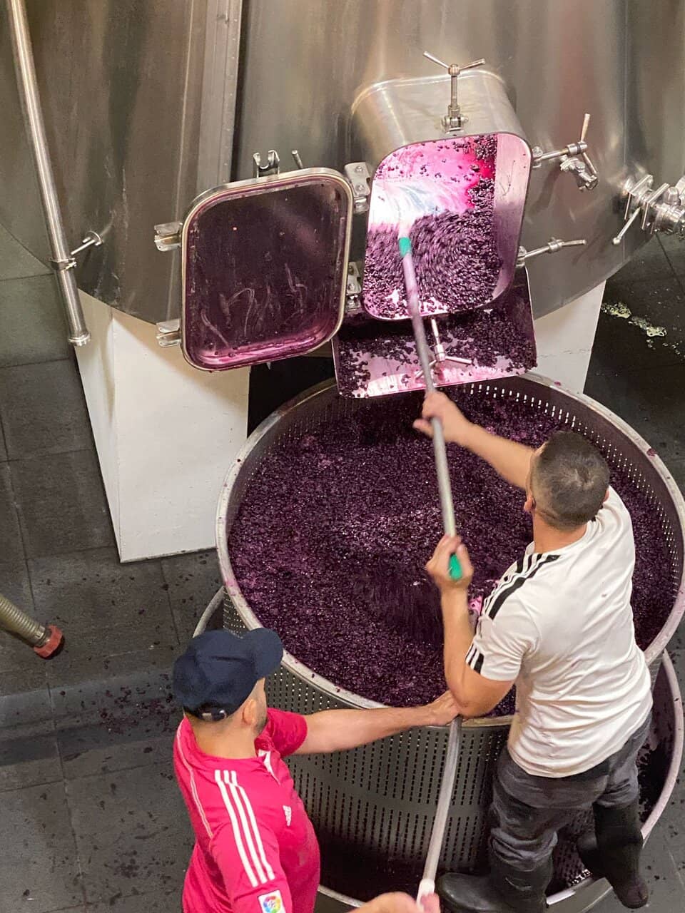 Wine in Art Museum