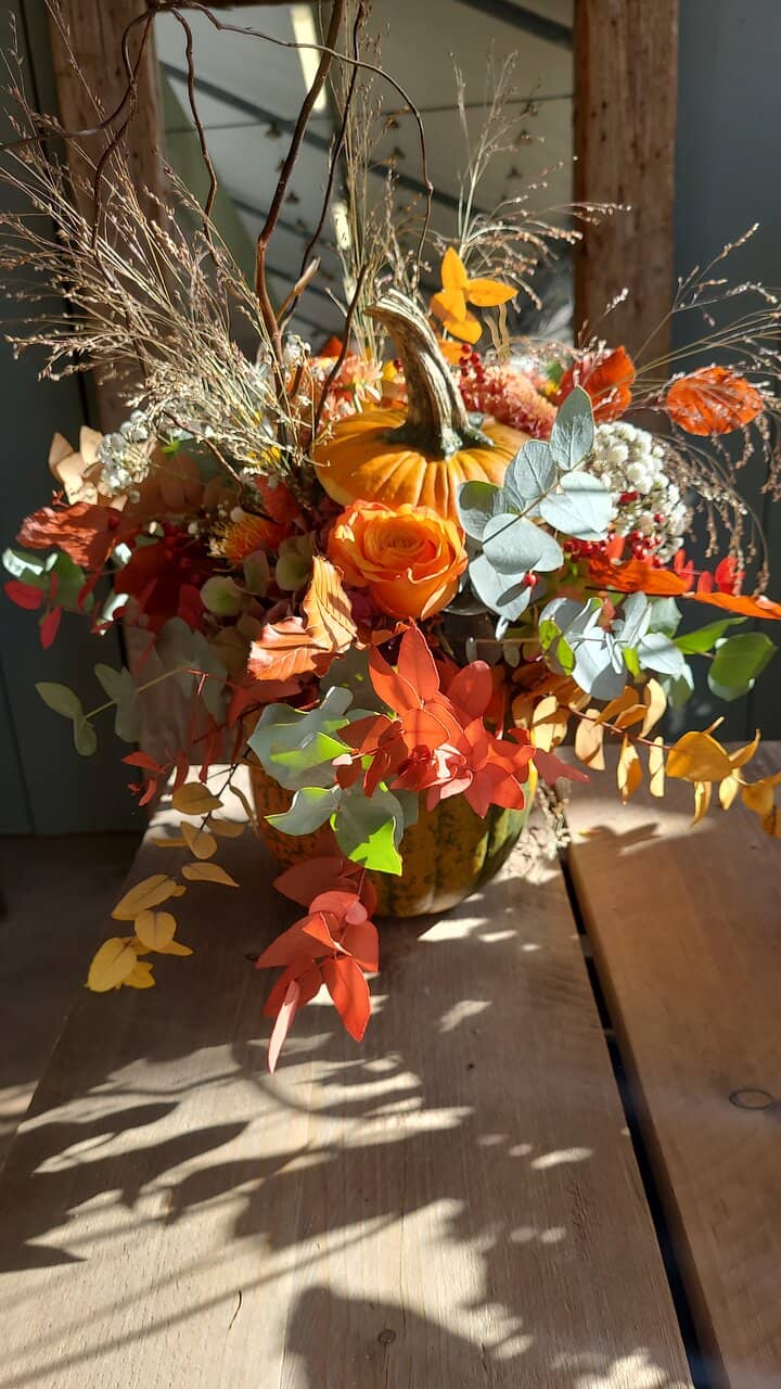 Charming Farm Animals