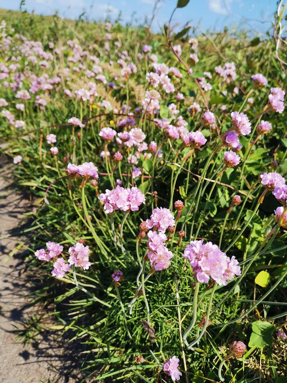 Island of Sein Views