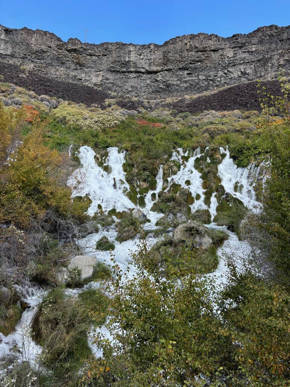 Vertical photo