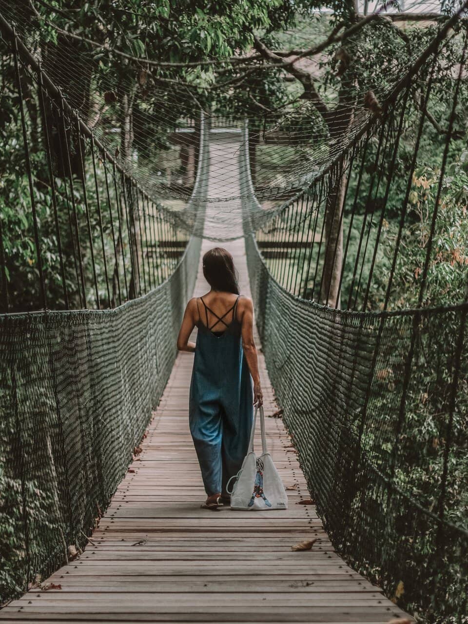 Close-Up Elephant Interactions