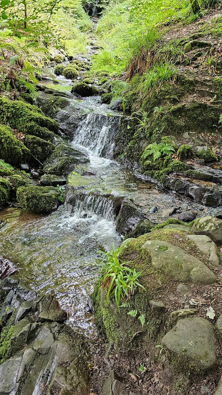 Fairy Trail
