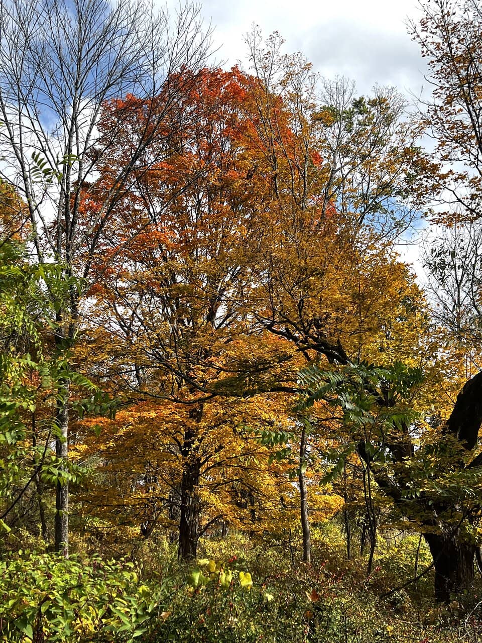 Appalachian Trail Sections