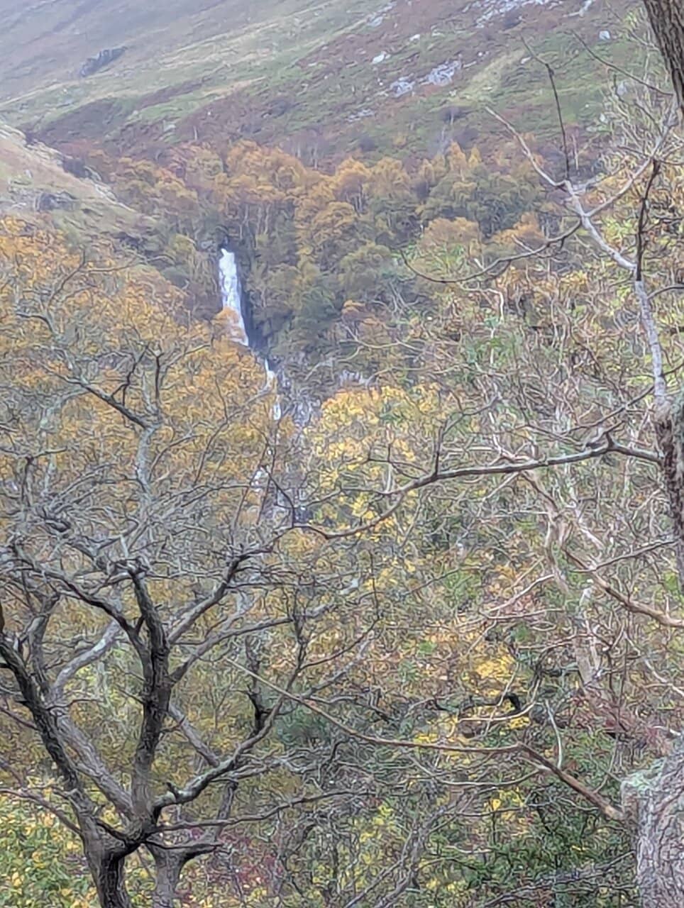 Vertical photo