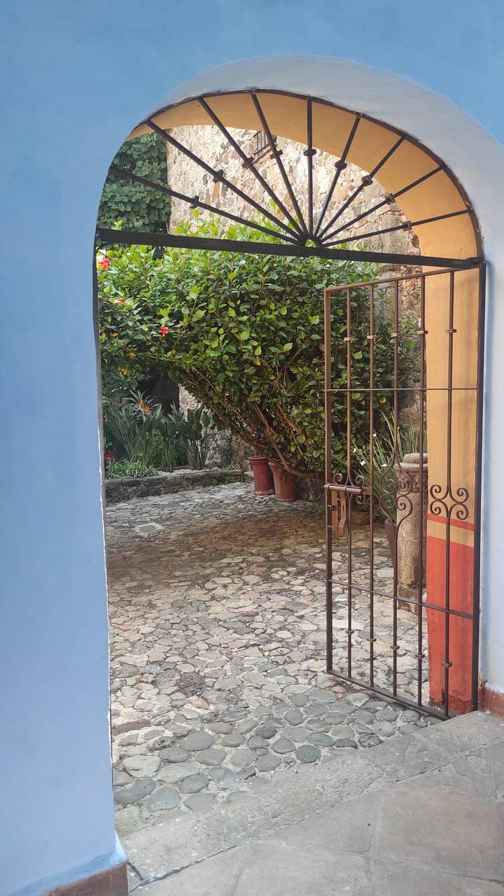 Lush Greenery & Mango Trees