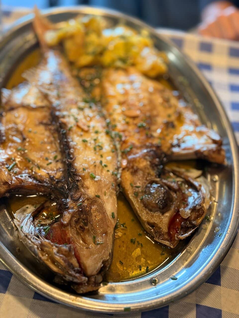 Scenic Riverfront Paths